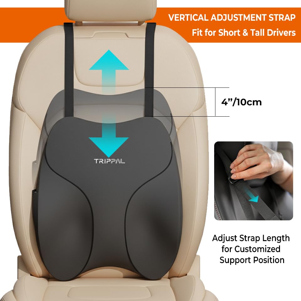TripPal supports comfortable long drives in a car setting.