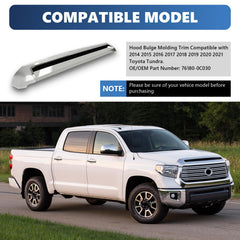 TULMTT chrome hood scoop detail highlights a bold chrome accent.