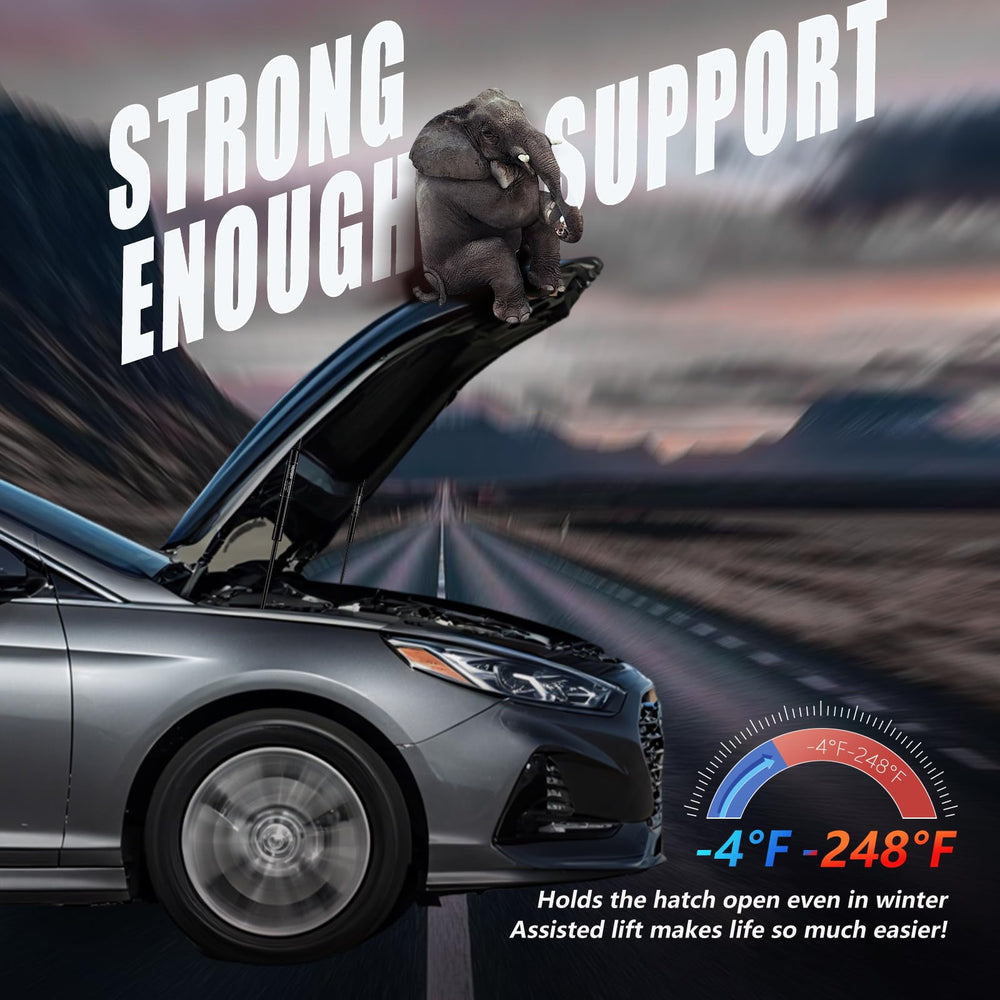 Vepagoo all-weather tested hood struts for year-round operation