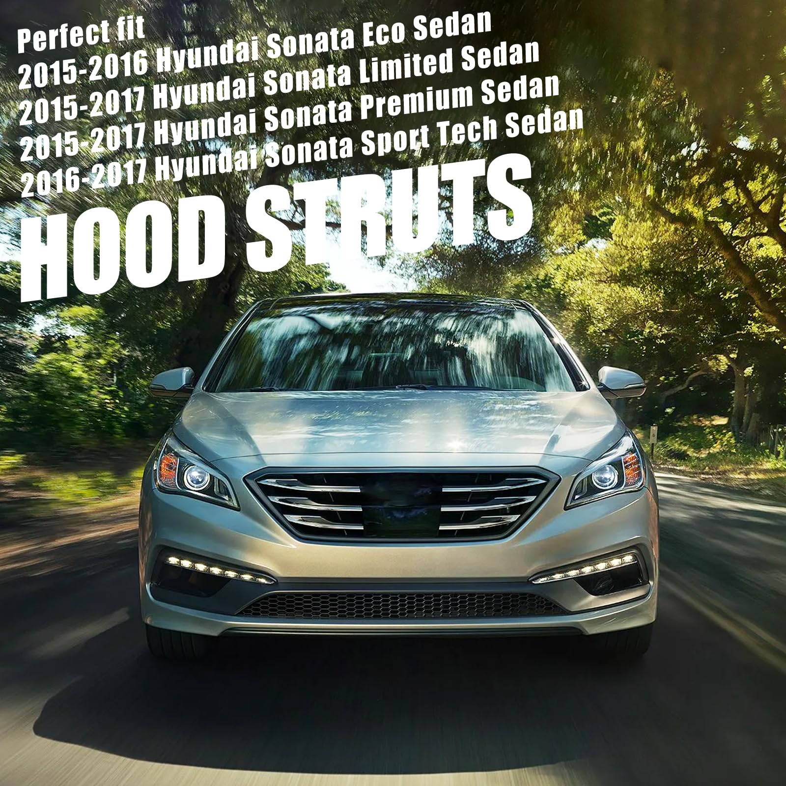 Vepagoo hood lift supports OEM PM3570 replacement ensures exact fit and performance