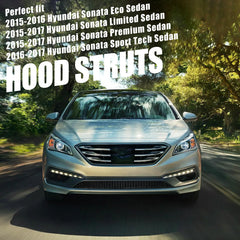 Vepagoo hood lift supports OEM PM3570 replacement ensures exact fit and performance