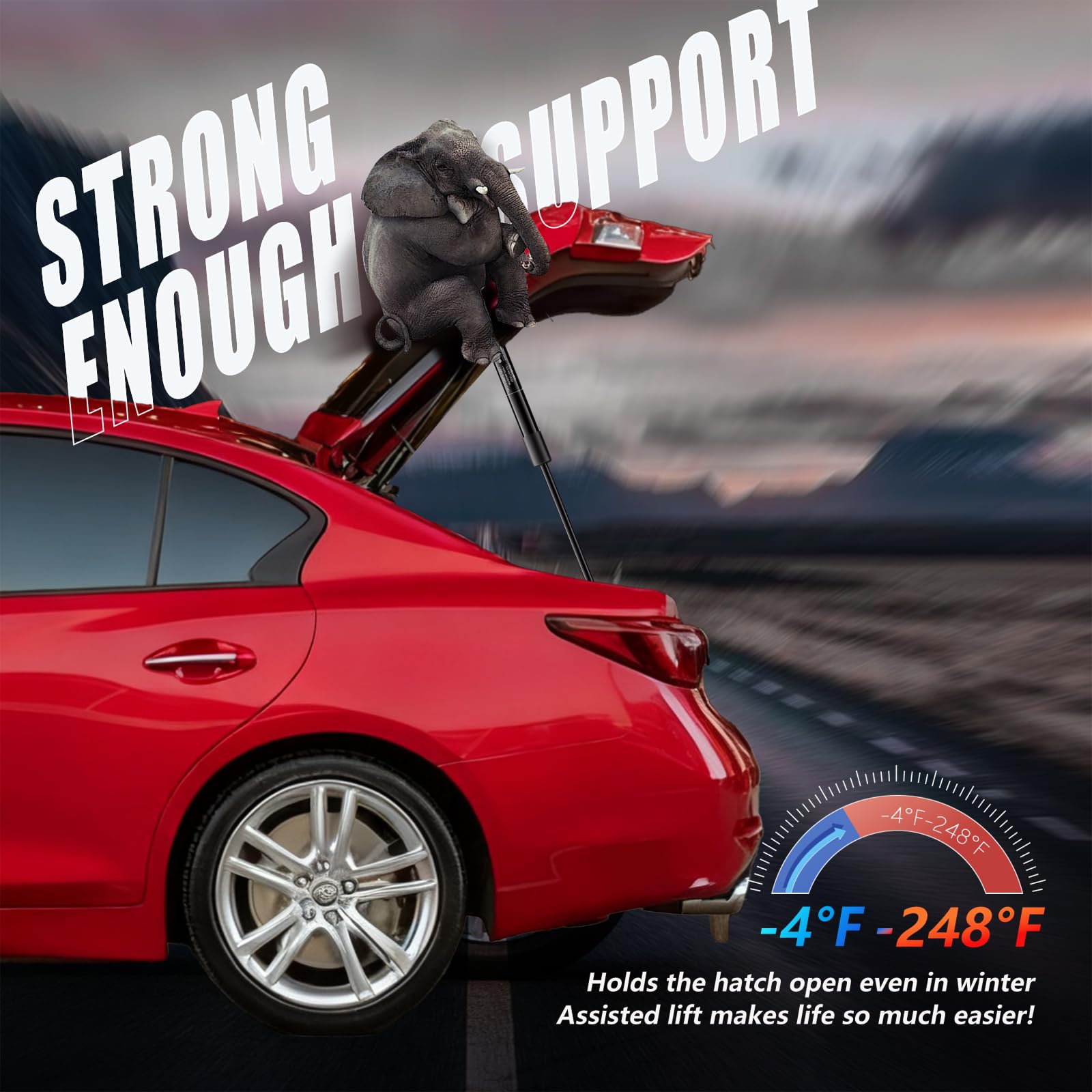Weather-tested Vepagoo lift support in action