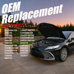 OEM-style replacement hardware included with Vepagoo kit