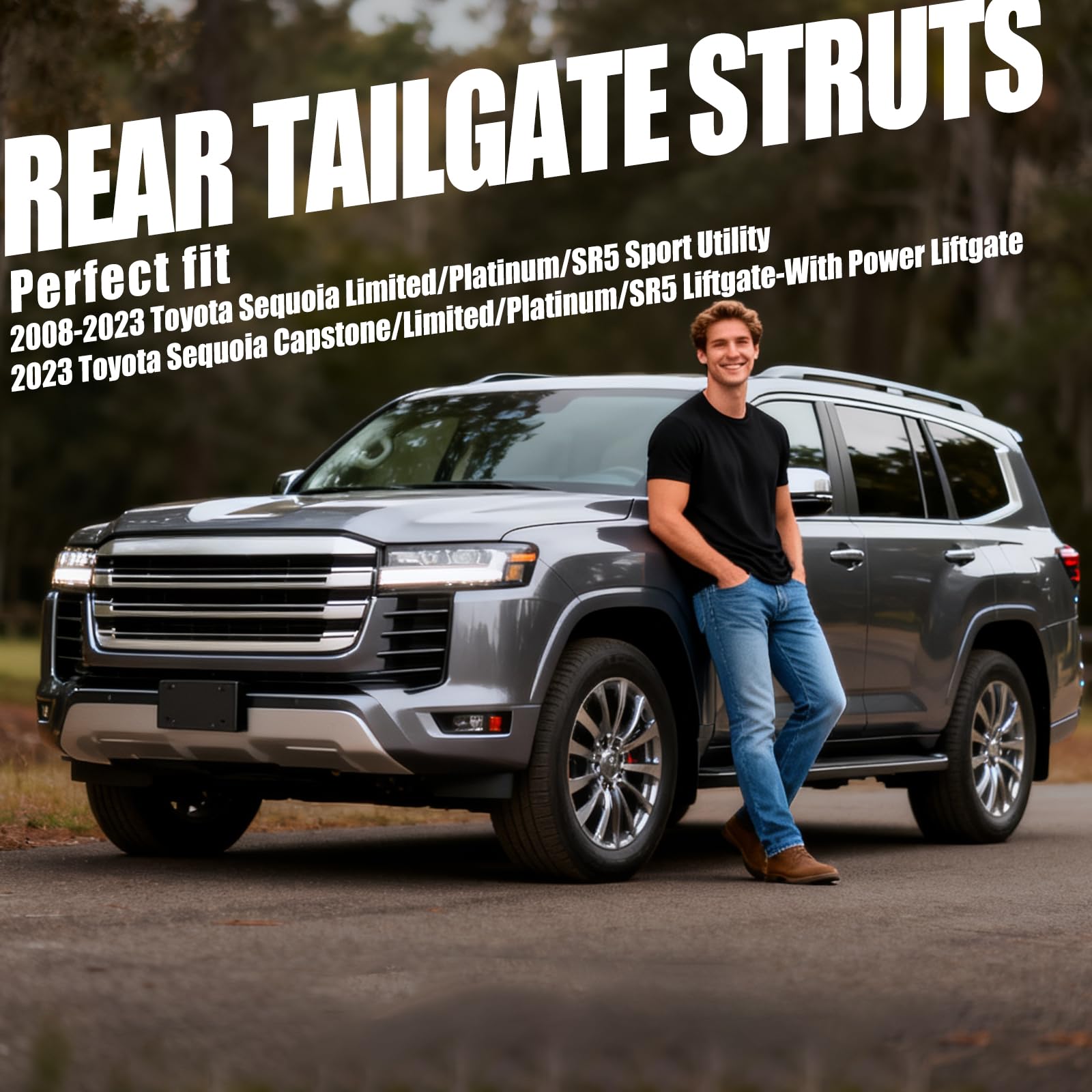 Vepagoo Sequoia rear hatch strut packaging for easy replacement