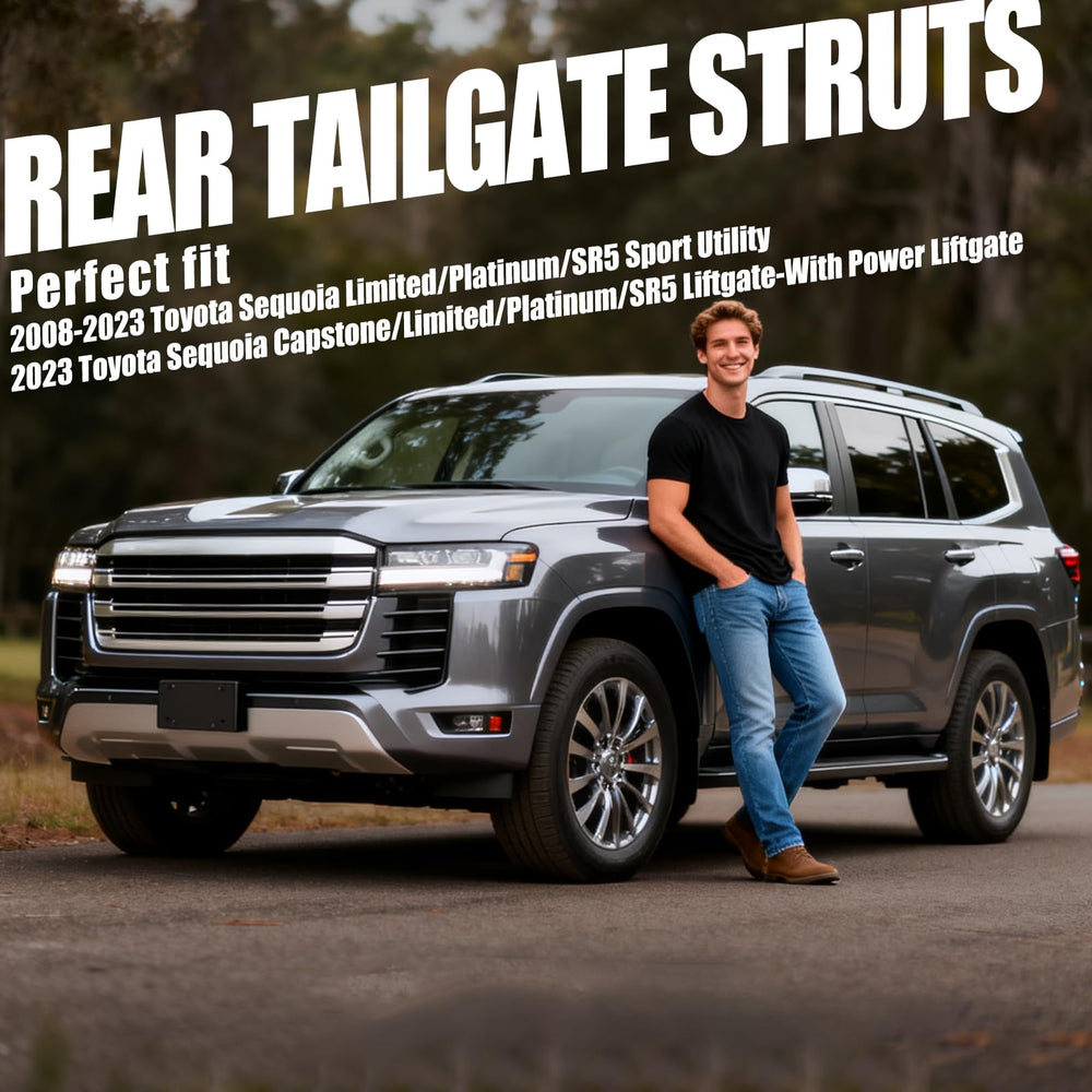 Vepagoo Sequoia rear hatch strut packaging for easy replacement