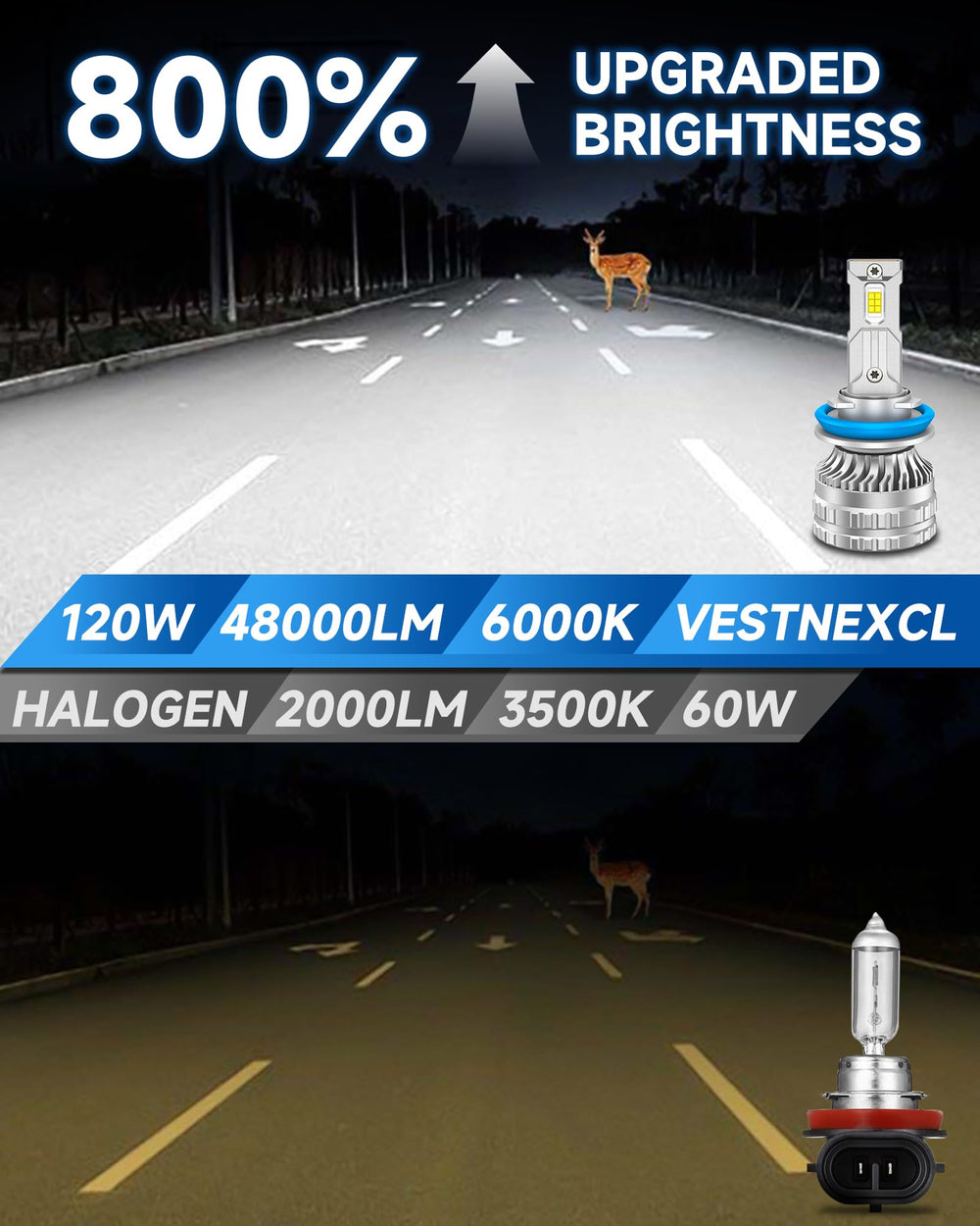 VESTNEXCL 6000K white hi-lo beam bulbs improve night visibility.