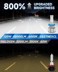VESTNEXCL 6000K white hi-lo beam bulbs improve night visibility.