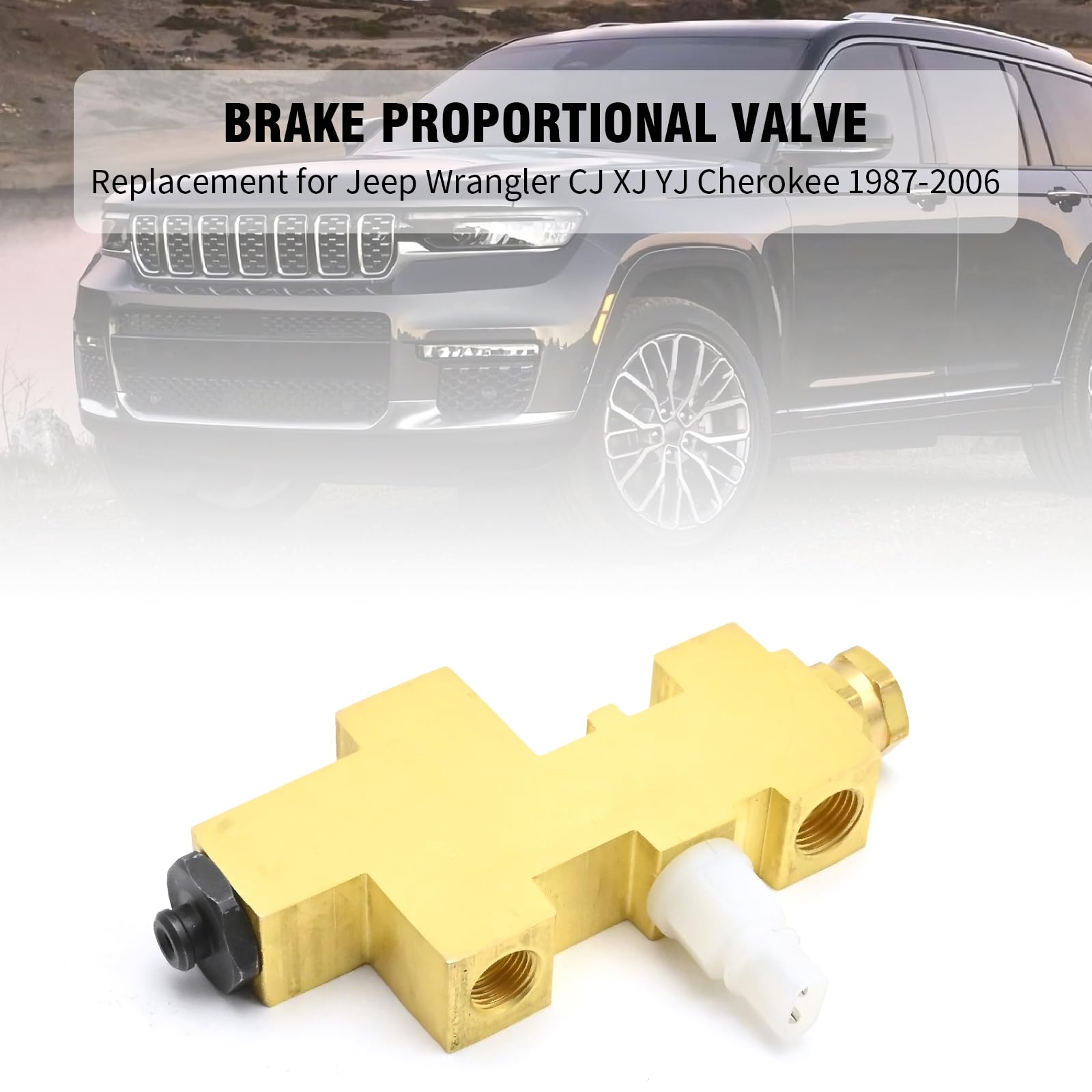 Valve package included, ready for straightforward replacement