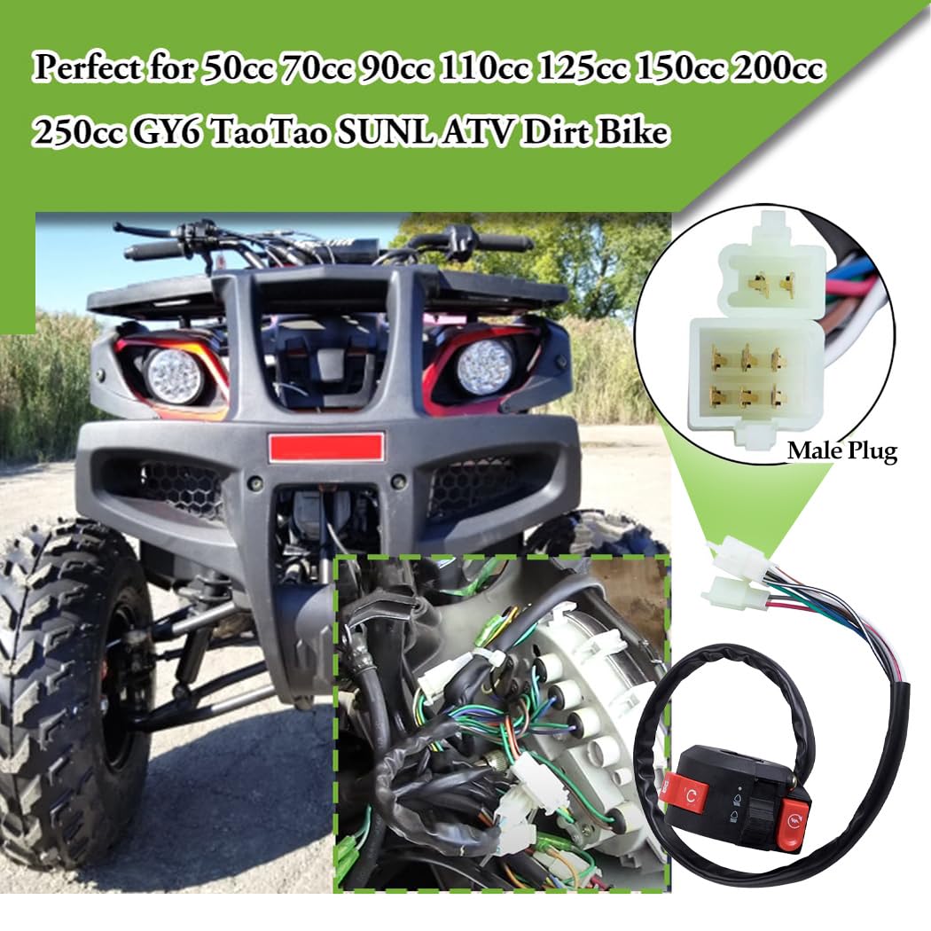 VORIPO ignition-switch-key-with-cap provides secure key start for TaoTao and other brands.