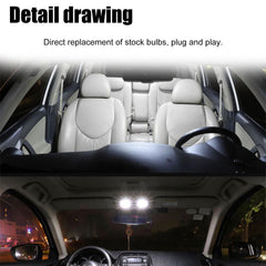 Vrasly dome light bulbs provide even interior glow for evening trips.