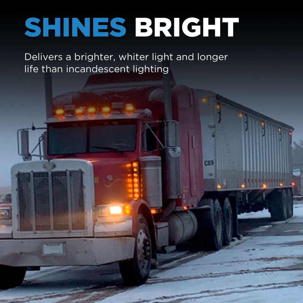 Wagner H4656 bottom shelf glare reduction feature shown in rain scene.