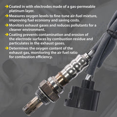 Walker Products platinum electrode layer close-up on oxygen sensor for accuracy