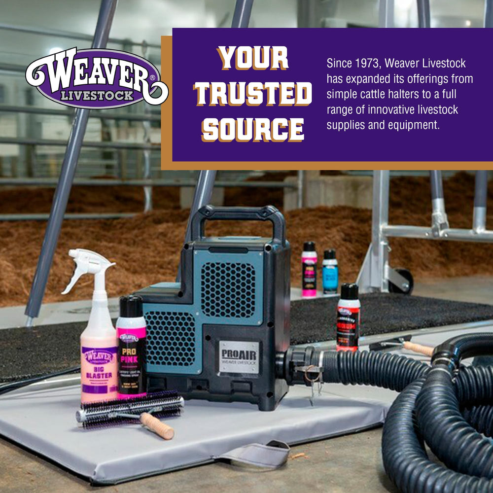 Weaver Livestock Hide Lotion White show-day setup in pen for easy application