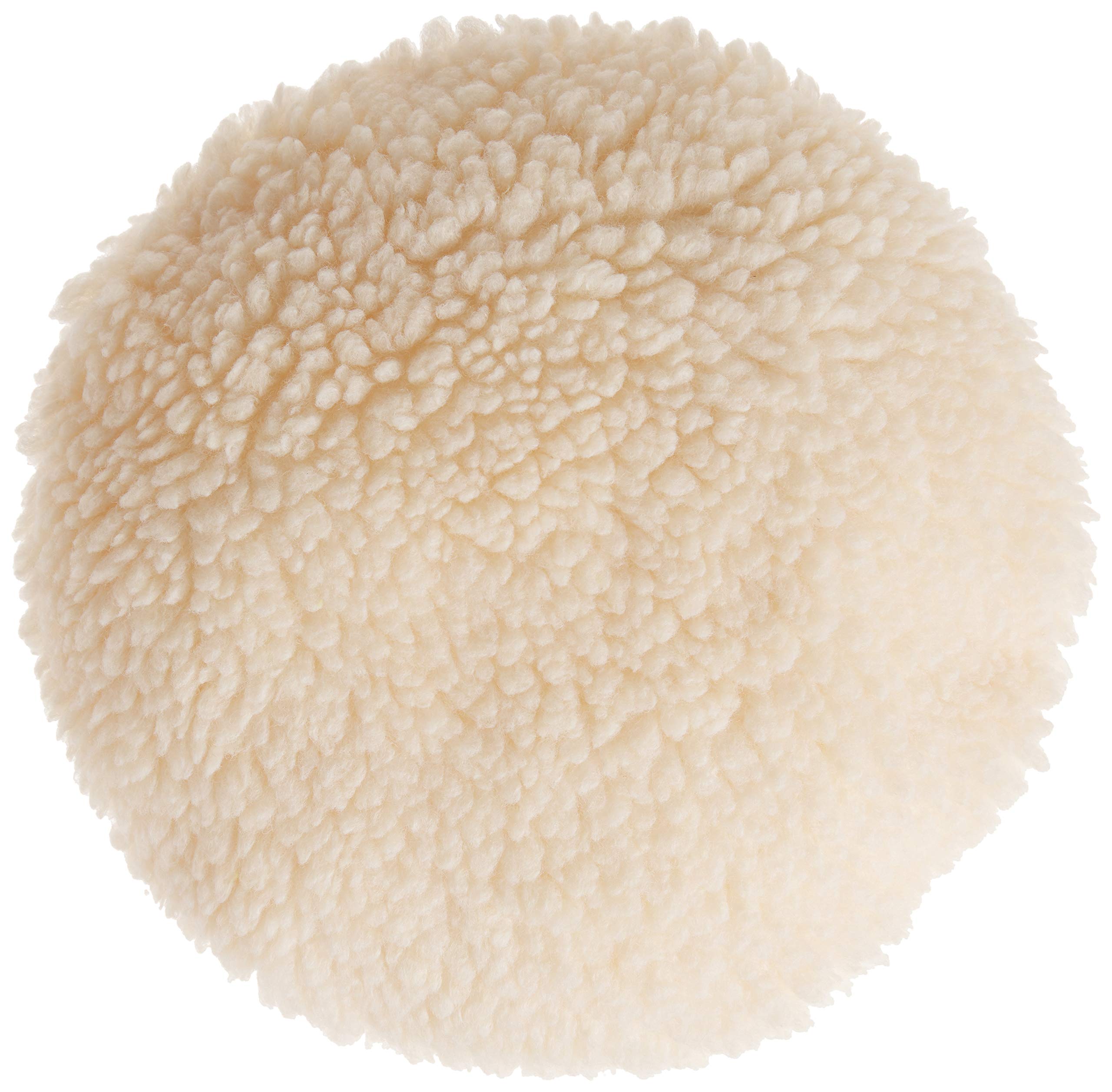 WEN 10-inch wool polishing bonnet mounted on a polisher for even coverage and a smooth finish.