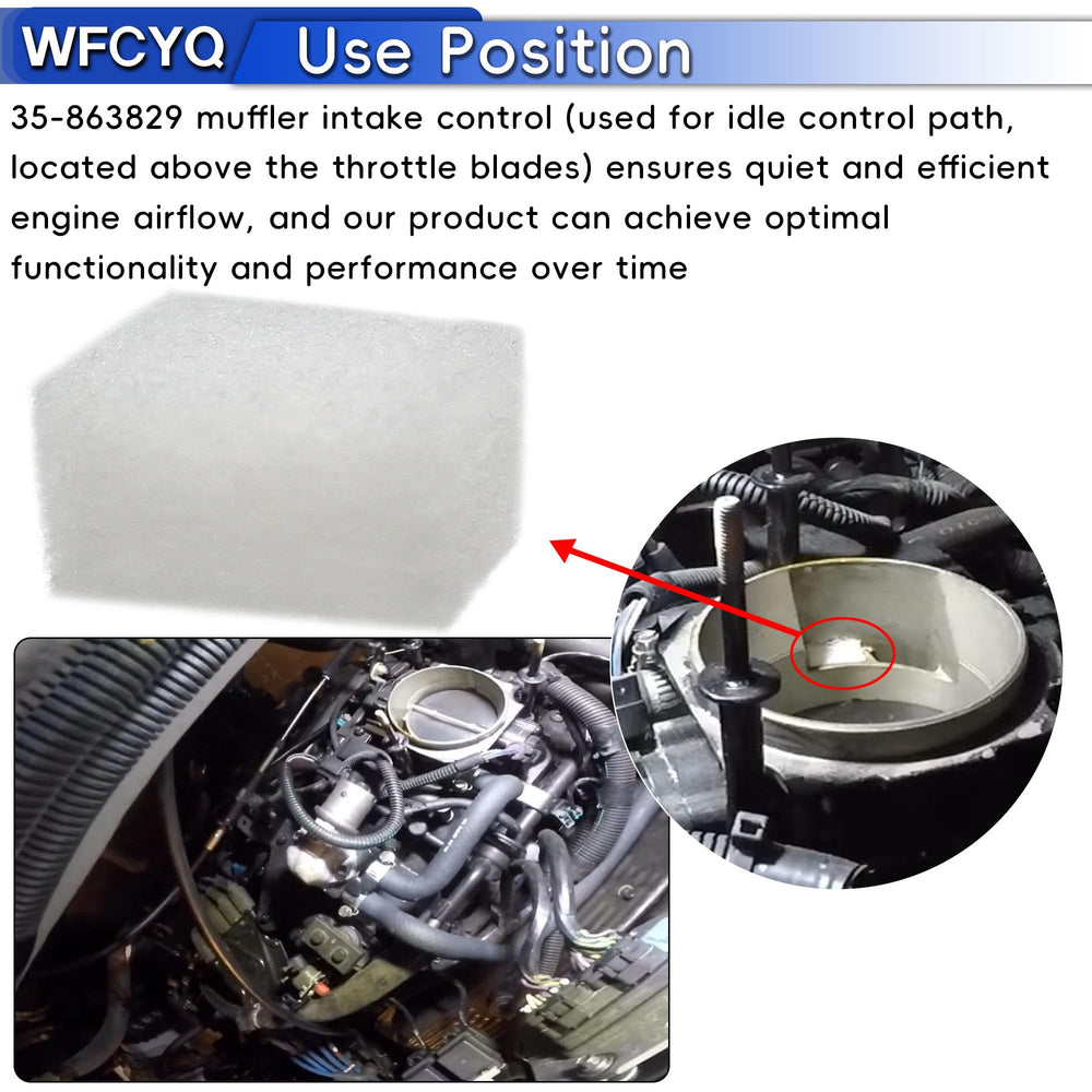 WFCYQ muffler IAC filter mounted above throttle blade.