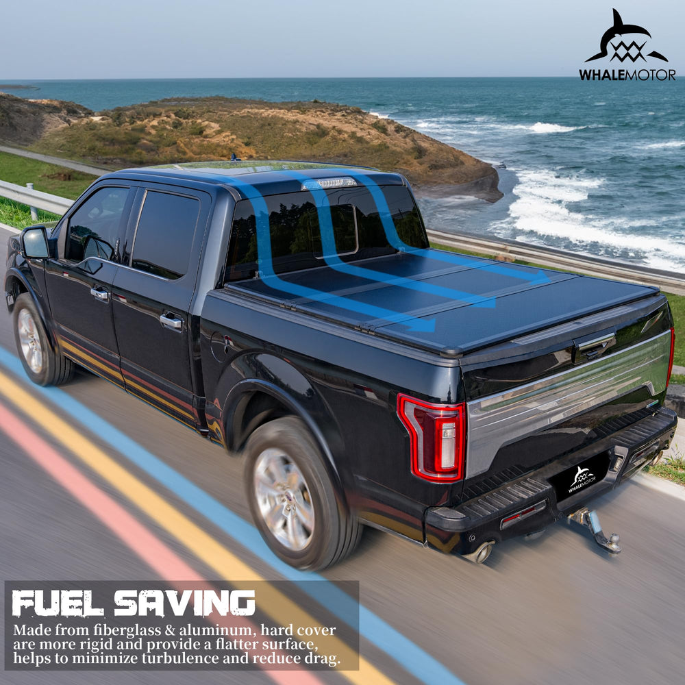 WHALEMOTOR 60-month warranty offers long-term confidence.