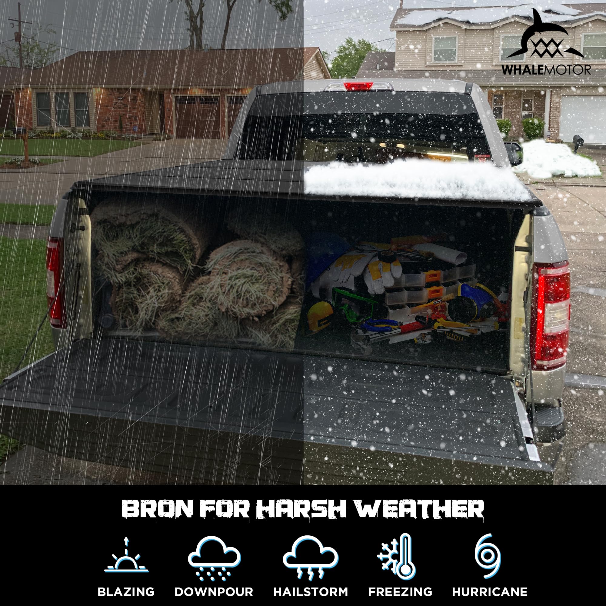 WHALEMOTOR aerodynamic design improves highway efficiency with stable performance at speed.