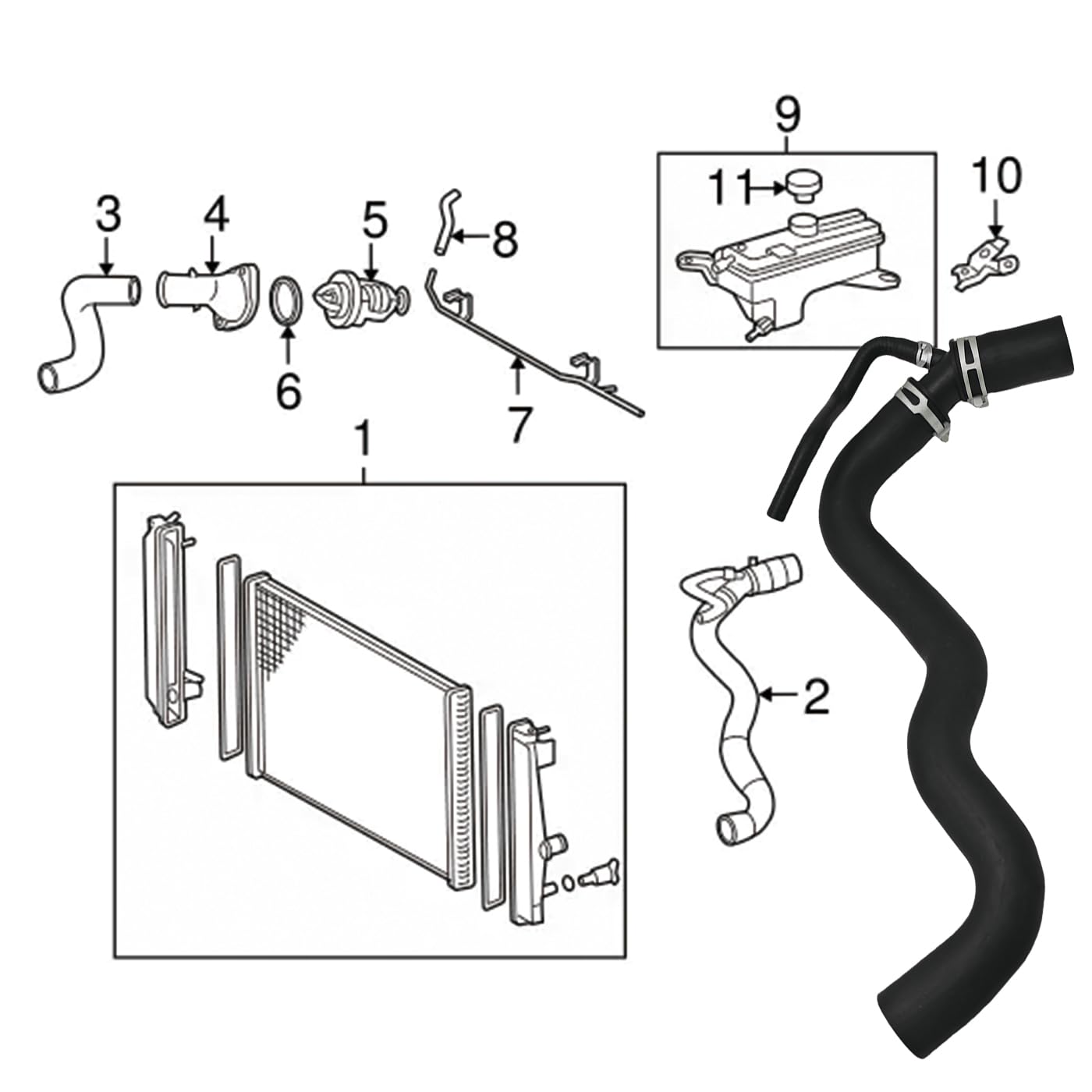 Wheelzen hose installed in the RAV4 engine bay