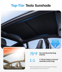 Wigoo Tesla Juniper sunshade rear roof demonstrates full interior coverage.