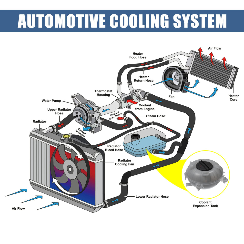 X AUTOHAUX engine bay view highlights a clean, ready-to-install reservoir upgrade.