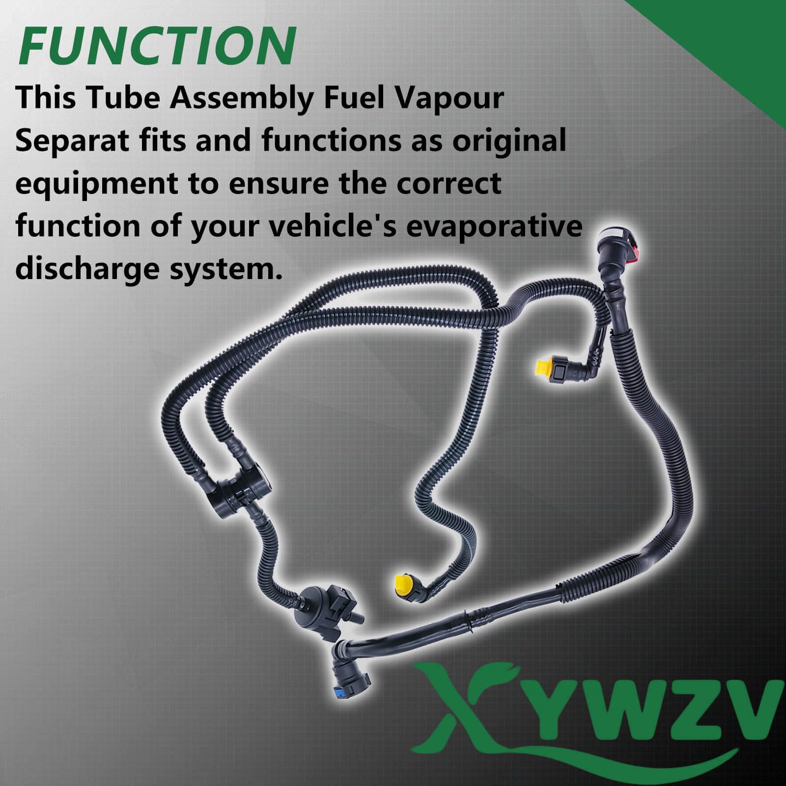 XYWZV evap system diagram explains integration with engine controls