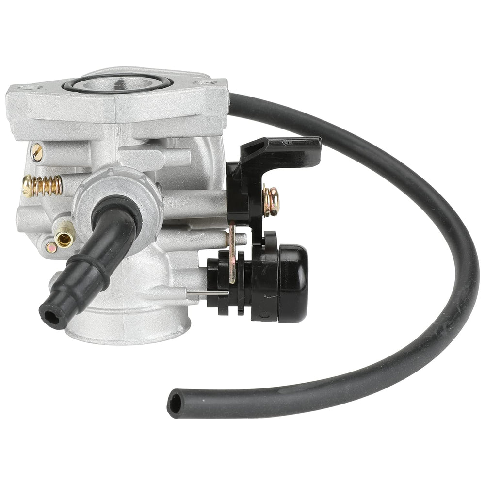 Carburetor installed on a TaoTao ATV as a fitment example