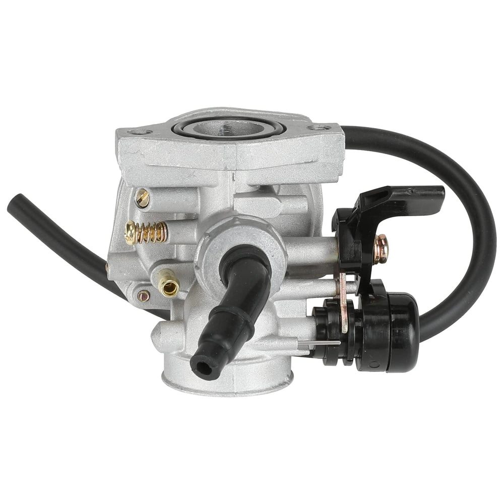 YOXUFA PZ19 carburetor compatibility guide for TaoTao and similar models