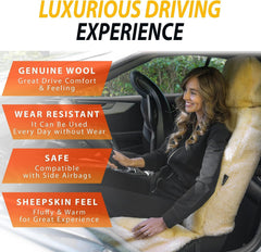 ZONETECH seat cover protecting upholstery with a plush look