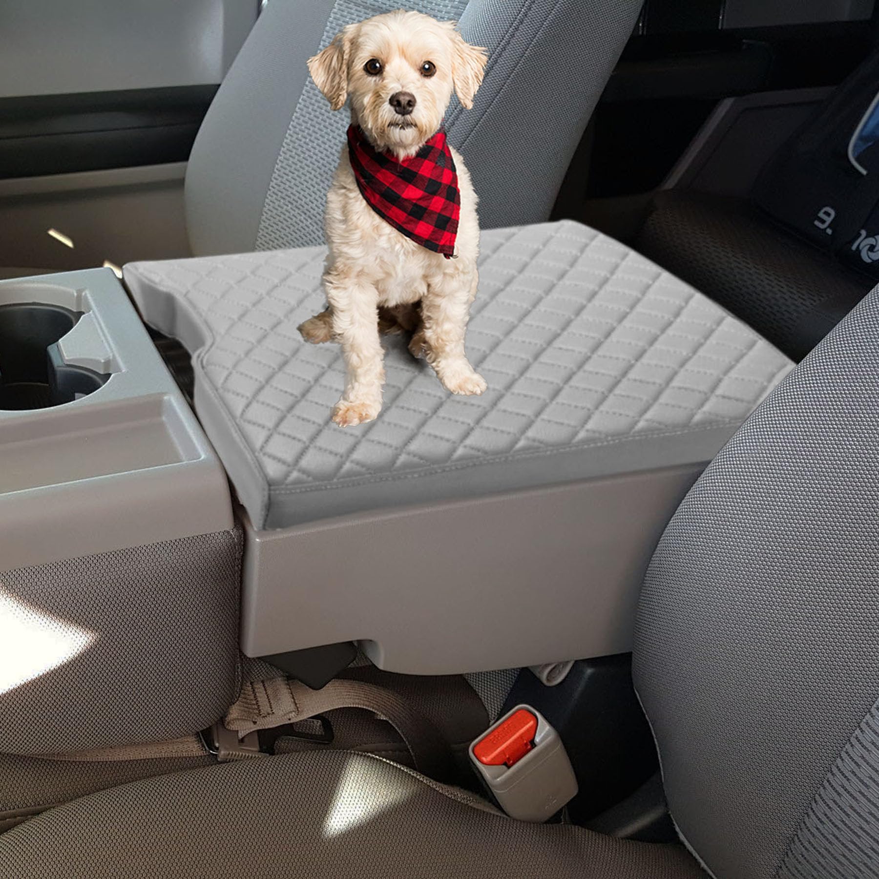 Zxiaochun gray color match keeps interior cohesive and stylish