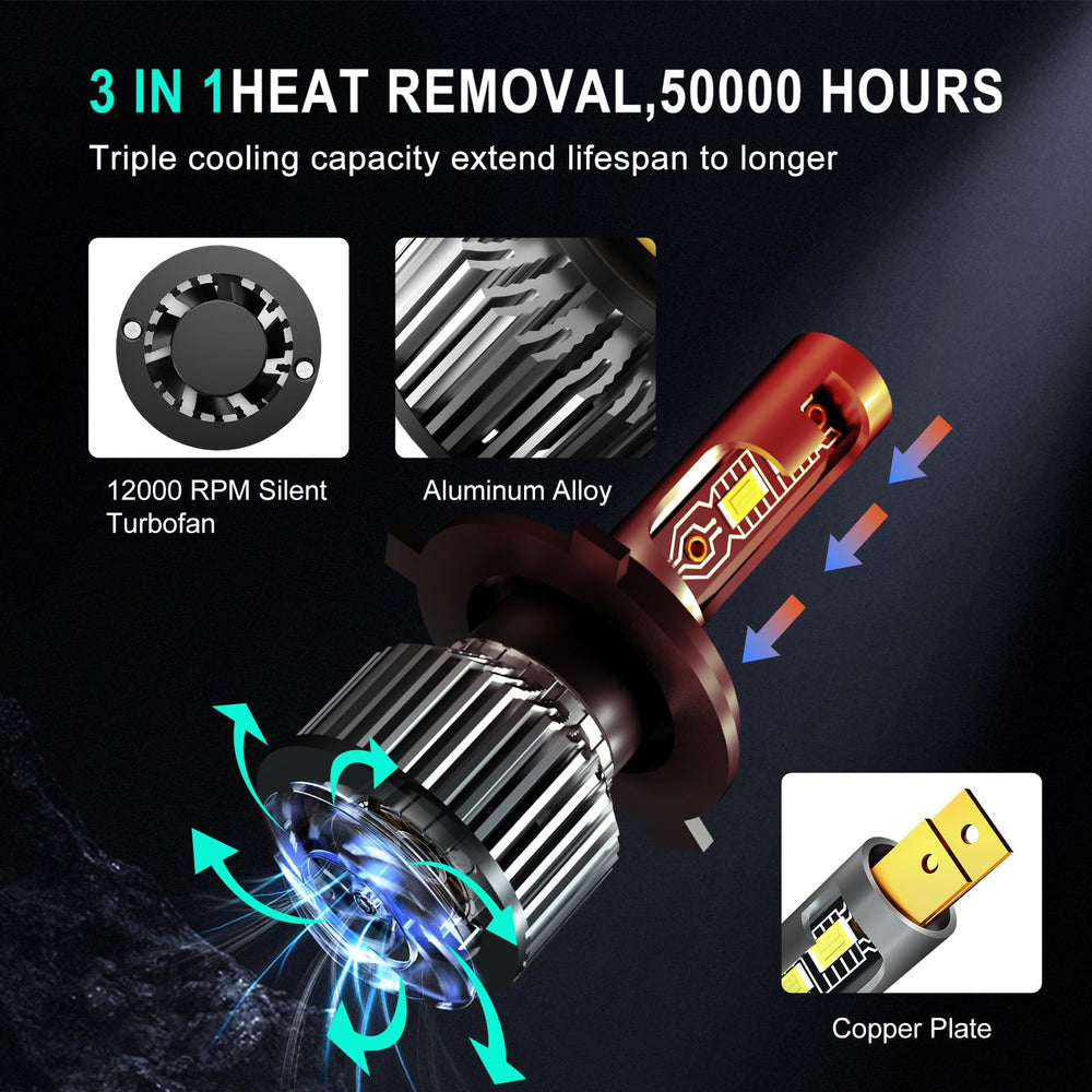 ZYRALUX weather-resistant bulbs maintain lighting through rain and snow